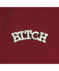 Rhinestone Pin - Bitch