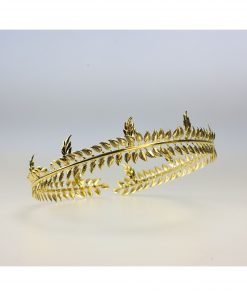 Alternative view of Men's Crown